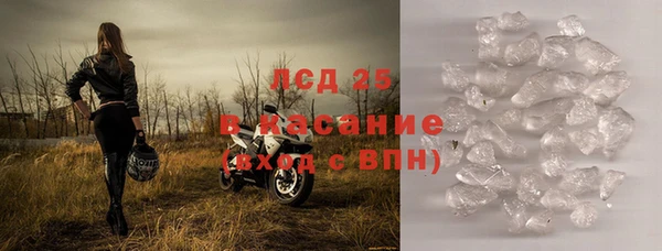 стаф Кондопога