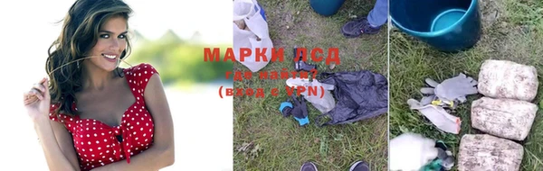 марки lsd Осинники